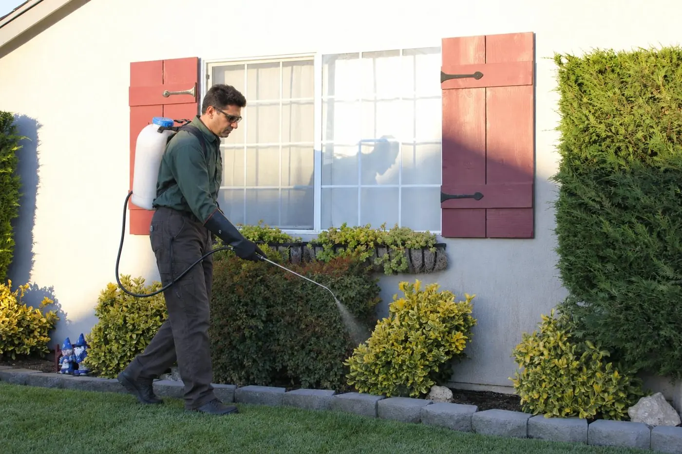 Pest control technician treating the outside of a home in Wagga Wagga